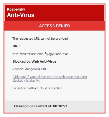 Kaspersky Anti-Virus 2014 web antivirus