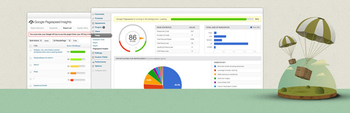 WordPress Plugin pagespeed insight